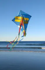 Kite at Potomos Beach