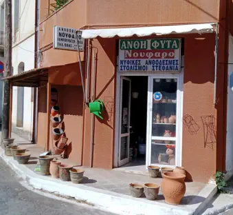 Garden Pots & More...