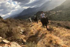 Horse Trek 2