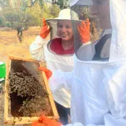 Beekeeping 1