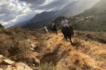 Horse Trek 2