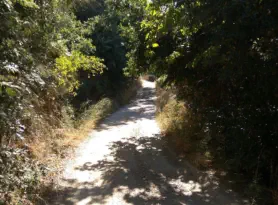Paschaligo 2