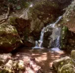 Paschaligo 1